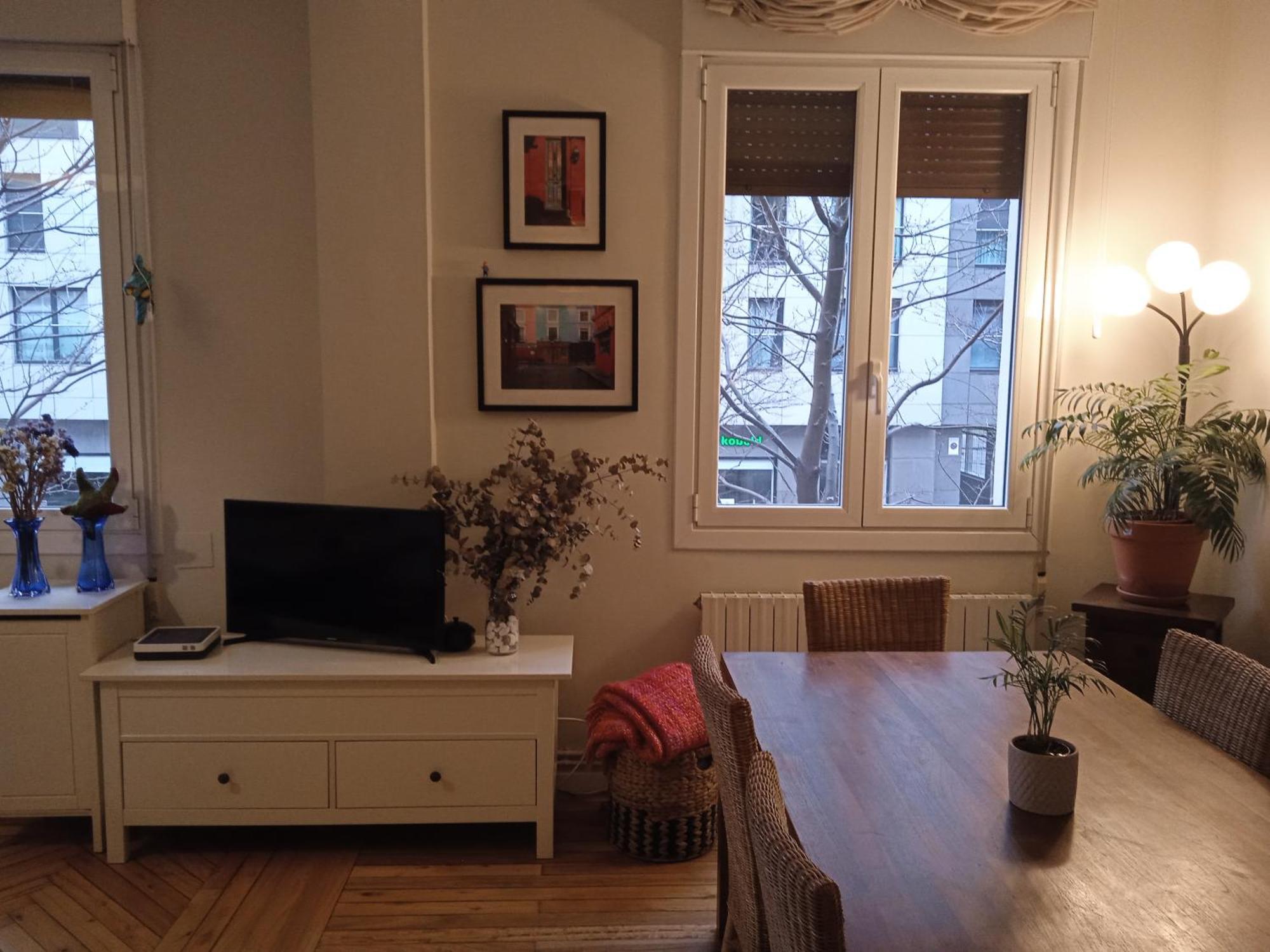 Apartamento Guggenheim Centrico Y Confortable บิลเบา ภายนอก รูปภาพ
